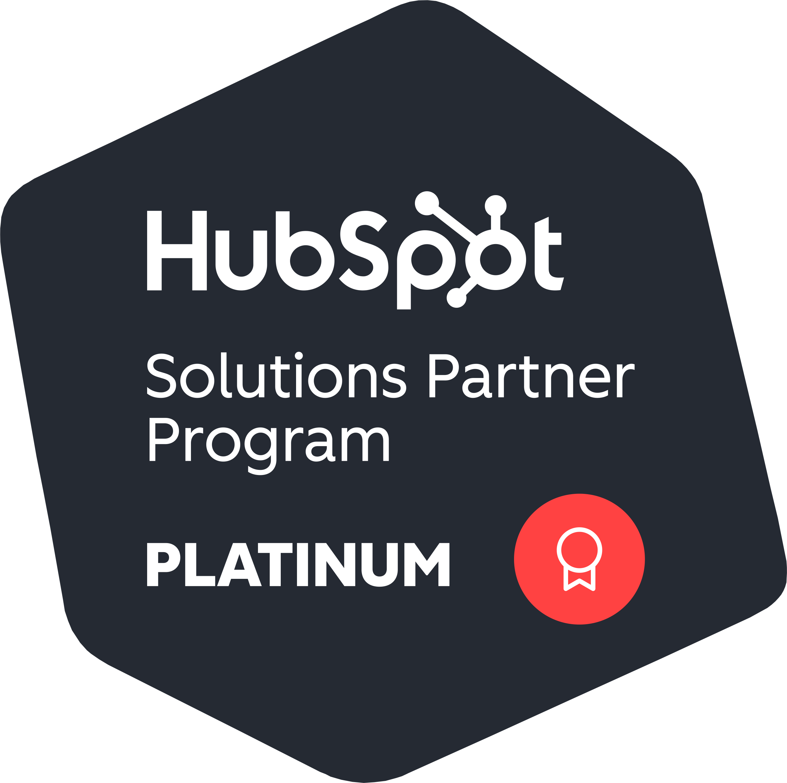 HubSpot Solutions Partner Program - Platinum